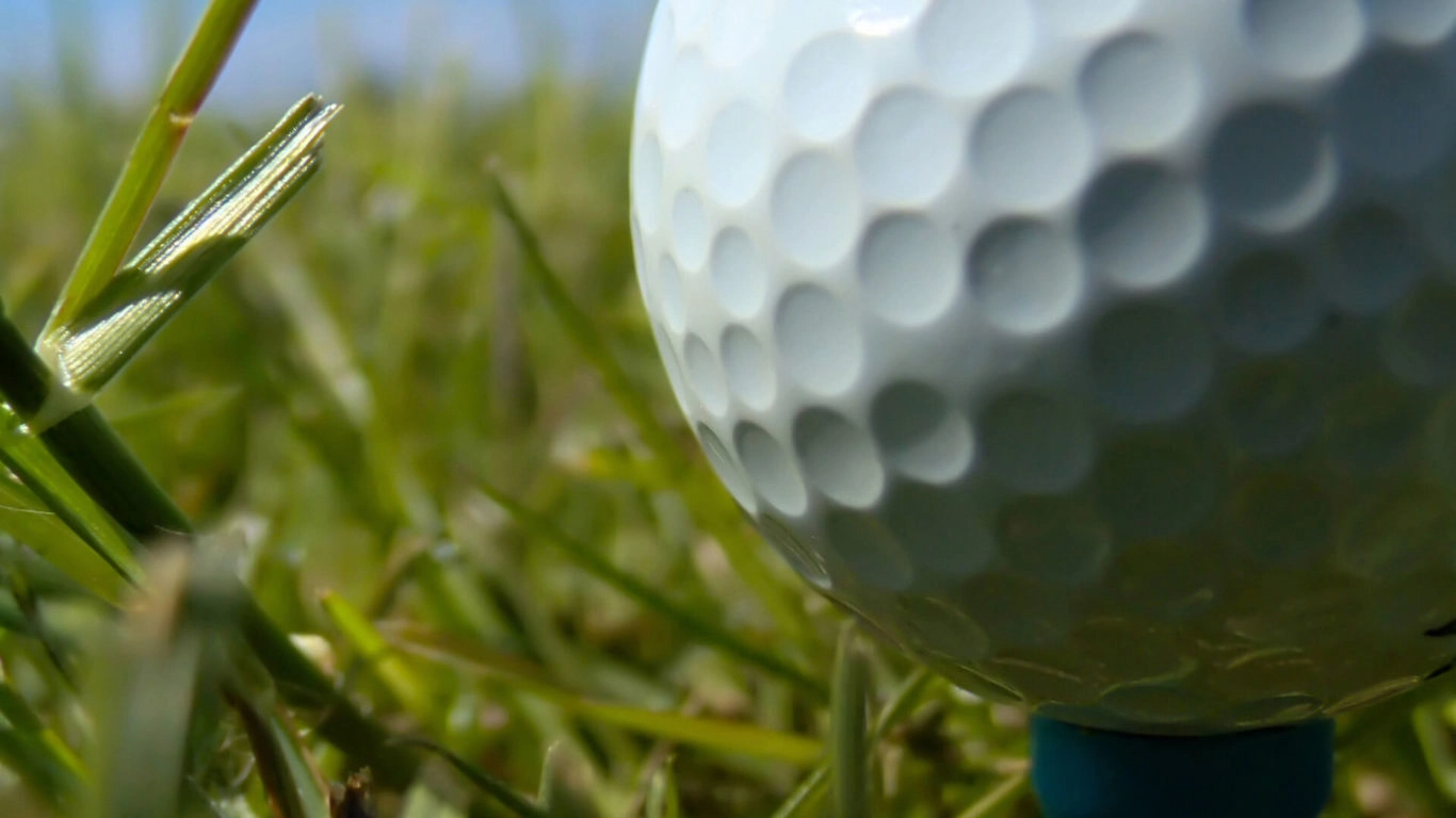 treacys-group-golf-02